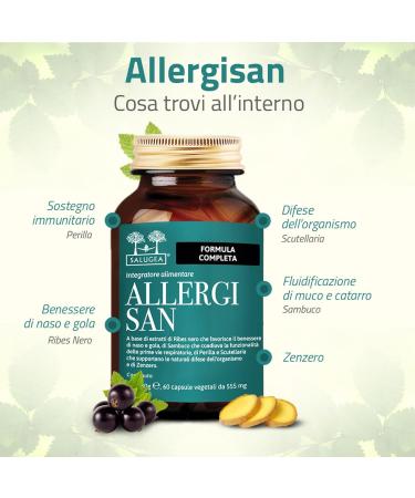  Salugea ALLERGISAN Salugaa - 100% natural supplement for the well-being of the nose throat and eyes - Allergy symptoms - with Perilla blackcurrant Scutellaria elderberry and ginger - 60 capsules - Buy Online on GoSupps.com