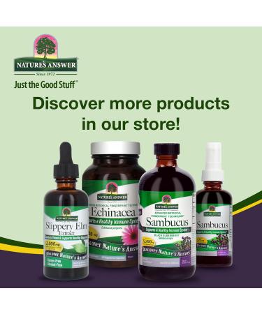 Natural's Answer Gotu Kola Extrait 2000 mg 30 ml - Buy Online on GoSupps.com