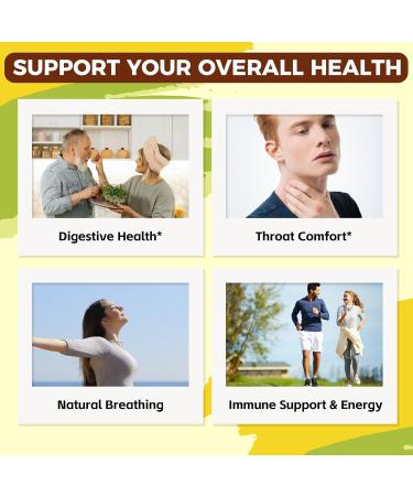 Well&Whole L-Lysine Gummies 1000mg - L-Lysine Supplements for Kids and Adults Slippery Elm Liquid Drops Marshmallow Root - Buy Online on GoSupps.com