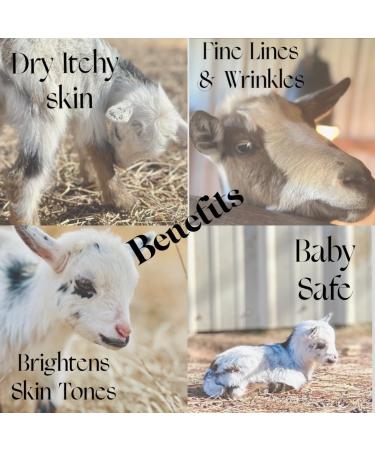 Buy Goats Milk Lotion - Emerald Coast 8oz Moisturizer | Best International Shipping - Buy Online on GoSupps.com