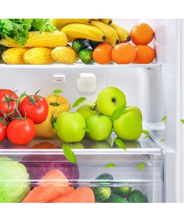 Natural Odor-Free Activated Carbon Fridge Air Freshener | Refrigerator Deodorizer & Electronic Sterilization | Odor Absorber for Fresh Food - Buy Online on GoSupps.com