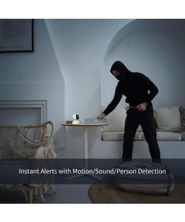 blurams Security Camera  2K Indoor Camera 360-degree Pet Camera for Home Security w/Motion Tracking  Phone App  2-Way Audio  IR Night Vision  Siren  Works with Alexa & Google Assistant White - Buy Online on GoSupps.com