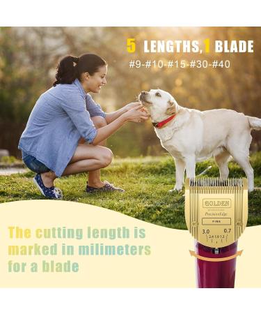 Adjustable Dog Grooming Clipper 5-in-1 Blade Compatible with WAHL Professional Animal Clipper Arco Bravura Chromado Creativa Figura and Motion Pet Dog and Horse (gold/2pc) - Buy Online on GoSupps.com