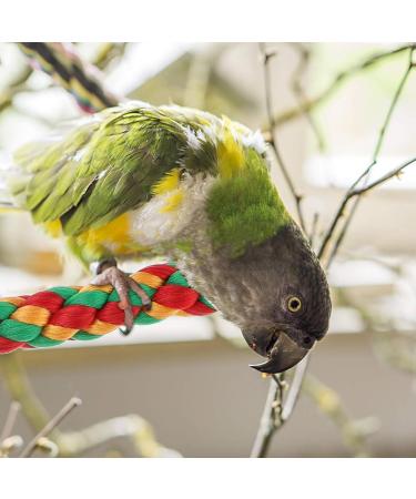 PopetPop 2-Pack Bird Stand - Natural Hood & Spiral Cotton Rope Swing for Parrots & Birds - Durable & Safe Bird Play Equipment - Buy Online on GoSupps.com