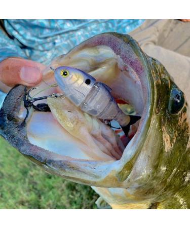 Mike Bucca Baby Bull Shad Swimbait 3.75 - 1/2 oz Golden Shiner | Catch Co Swimbait - Buy Online on GoSupps.com