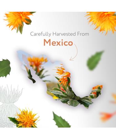 HBNO Safflower Oil - 16 oz (475ml) Value Size - High Oleic Ideal for Shampoos Conditioners Face wash Lotions and Skin Care Products. Safflower 16 Fl Oz (Pack of 1) - Buy Online on GoSupps.com