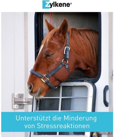 Vetoquinol Zylkene Equine | 20 x 4g | Dietary Supplement for Horses | May Help Reduce Undesirable Behavior of Horses in Unusual Situations - Buy Online on GoSupps.com