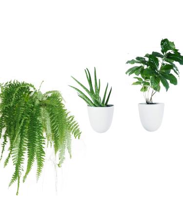 MakeGood Virgo Wall Planters (Set of 3) - Easy to Water and Install - Lightweight - Design Your Own Vertical Garden - Melamine Plastic 3 Pack