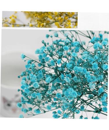2pcs Plant Decor Gifts Dried Flowers The Gift Dried Flower Decor Creative Preserved Flower Preserved Flower Decor Romantic Preserved Flower Artificial Gypsophila Bluex2pcs 60X20cmx2pcs - Buy Online on GoSupps.com