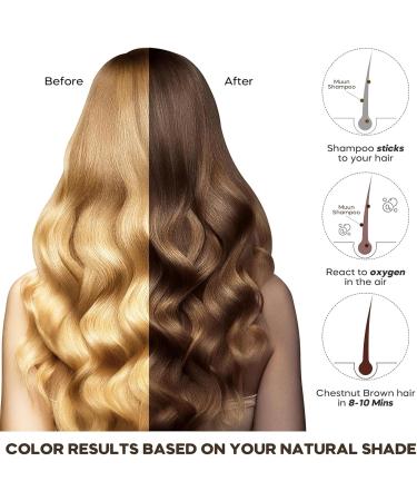 Nova Hair Dye Instant Hair Color Shampoo for Black Hair Magic Hair Dye Shampoo Long Lasting for Men and Women (Light Brown) - Buy Online on GoSupps.com