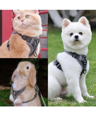 Fineasy Adjustable Cat Dishes & Leash Set - Outbreak-Proof Harness for Cats & Kittens - Gray Medium - Buy Online on GoSupps.com