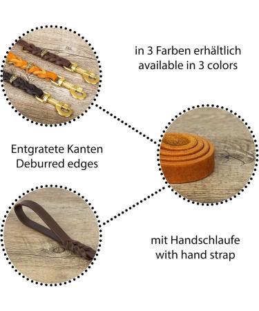 CopcoPet Fat Leather Leash with Brass Snap Hook - Durable Black 2.5m x 15mm | International Shipping Available - Buy Online on GoSupps.com