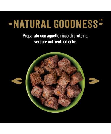 Cesar Natural Goodness Wet Food for Dogs with Lamb and Vegetable Flavor 6 cans of 400 g Total 2.4 kg - Buy Online on GoSupps.com
