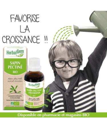 HERBALGEM Macerate-M re Organic Pectinated Fir - Concentrated Gemmotherapy Dietary Supplement - Fresh Bud Extract - For Bone Health - Vegan - 30 ml - Buy Online on GoSupps.com