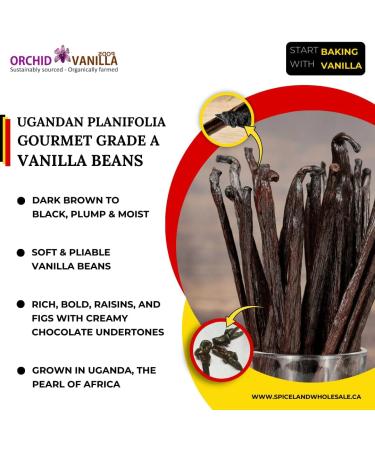 Ugandan Vanilla Gourmet Grade-A Beans For Extract And Baking By Weight (2 Lb (Pack of 1)) - Buy Online on GoSupps.com