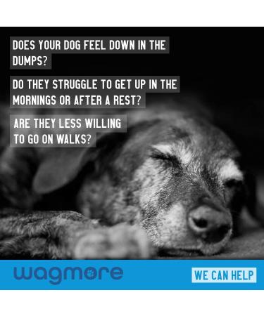 Wagmore Dog Hip & Joint Care Supplements | 120 Tablets with Glucosamine, Chondroitin, Turmeric & Vitamins | Supports Joint Health in Adult/Senior Dogs - Buy Online on GoSupps.com
