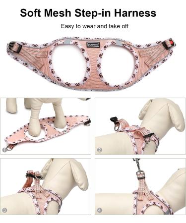 Doramio Step-In Dog Harness for Small Dogs & Cats - Reflective Breathable Anti-Pull Safety Harness with Leash | Available in Champagne XL - Buy Online on GoSupps.com