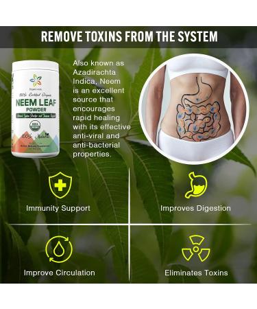 Organic Aura Neem Leaf Powder (Azadirachta Indica). 100% Pure Neem Raw and Green. USDA Certified Organic Neem for Immune Support Skin and Hair. Naturall Source of Antioxidants and Detox. - Buy Online on GoSupps.com