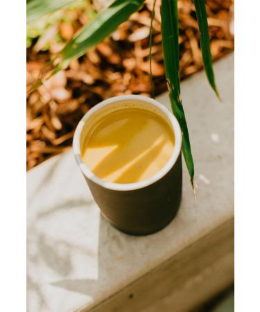 PAAVANI Ayurveda Golden Milk - Made in USA - Ayurvedic Turmeric & Ashwagandha Blend - Powdered Supplement - Haldi Doodh - 100% Organic - 38 Servings - Buy Online on GoSupps.com