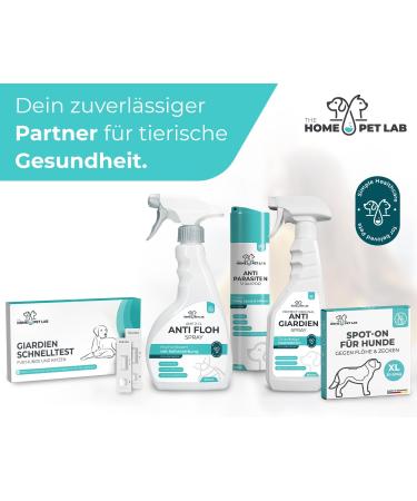 Home Pet Lab Spot on Tick & Flea Protection for Dogs (20-30 kg) - 3 Months of Effective Defense - Buy Online on GoSupps.com