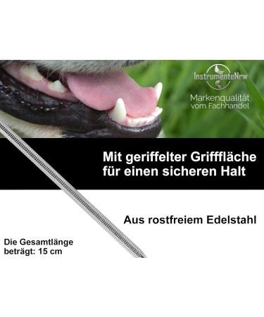 Premium Stainless Steel Dog Denture & Tartar Remover - 2-Sided Tooth Cleaner Scratcher for Pets - Buy Online on GoSupps.com