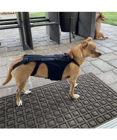 Back Bracer for IVDD in Dogs Dog Back Brace for Dogs Arthritis Spinal Surgical Recovery Herniated Disc Slipped Disc Rehabilitation Adjustable Back Support Back Protector (L) - Buy Online on GoSupps.com