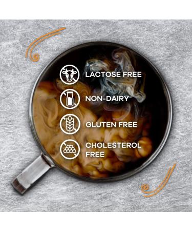 Coffee Mate Hazelnut Liquid Creamer 16 oz - 6 Count | Rich & Creamy Flavor - Buy Online on GoSupps.com