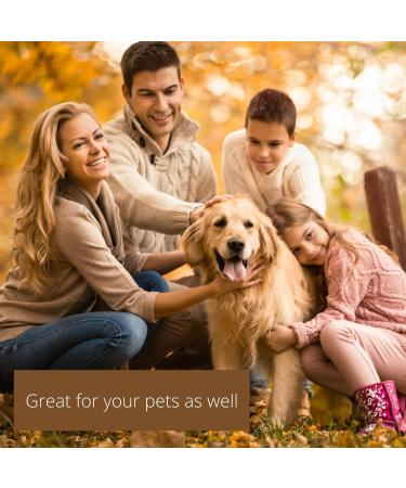 Buy Silver Solution pH Balanced Alkaline Liquid | Daily Immune Support | 16 oz Gluten Free - 30ppm - Buy Online on GoSupps.com