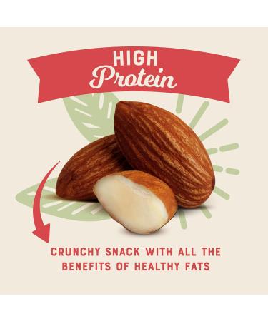 Sunburst Whole Almonds Dry Roasted & Sea Salted Non GMO (No Oil) 1kg - Buy Online on GoSupps.com