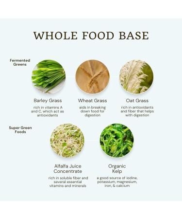 VTC VitaTradingCo. Probiotic Gut Defense | Probiotics and Prebiotics for Gut Health & Digestion | 1 Billion CFU with Whole Food Base | 90 Capsules - Buy Online on GoSupps.com