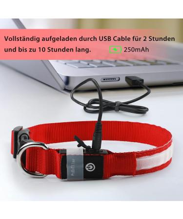 Luminous LED Dog Collar - Waterproof 7 Color Adjustable Light for Night Safety | Small to Large Dogs | 2022 Model (Red 48-60cm) - Buy Online on GoSupps.com