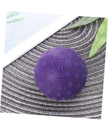 Frcolor 3ST Balance Ball - Tai Chi & Yoga Exercise Ball for Fitness & Massage - Violet Sports Gear - Buy Online on GoSupps.com