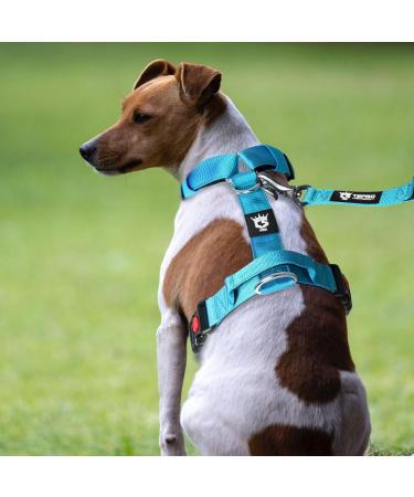 Buy Tspro Tactical Dog Harness with Handle - Military Quality 3.3cm Wide Thick Padded Quick-Release Snap - Ideal for Small Dogs (14-23kg) - Green - Buy Online on GoSupps.com