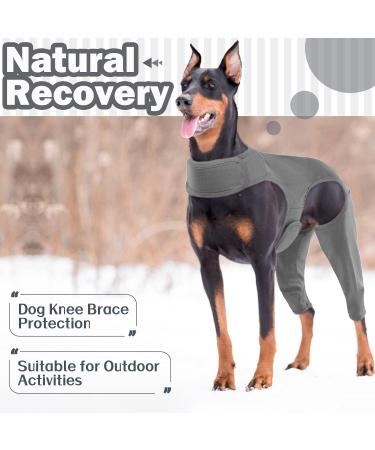 Premium Dog Recovery Suit - Hjyokuso Anti-Wound Licking Bodysuit for Dogs | Post-Op Leg Protection | E-Collar Alternative - Gray - Buy Online on GoSupps.com