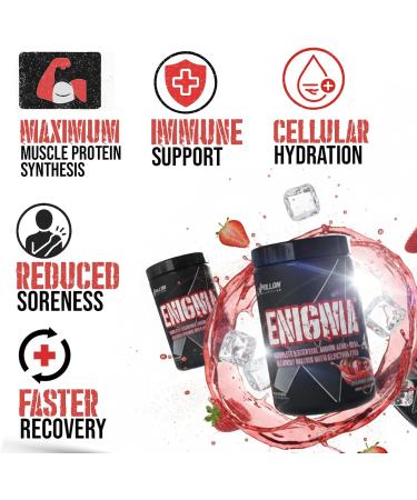 Apollon Nutrition Enigma Complete EAA + BCAA Recovery Matrix | 23.5g Total Aminos 5g Leucine | Glutamine + Electrolytes | Pineapple 40 Servings Pineapple 1.1 Ounce (Pack of 1) - Buy Online on GoSupps.com