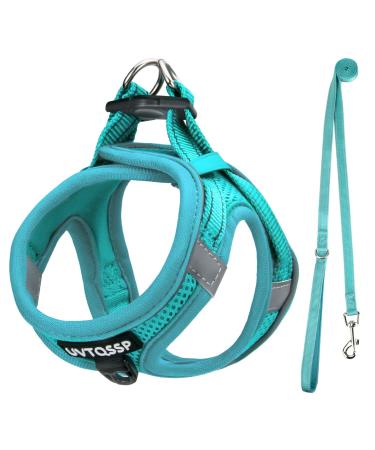 UVTQSSP Dog Harness Small Dogs with Leash Padded Puppy Harness Dog Harness Small Light Blue XS XS Light Blue