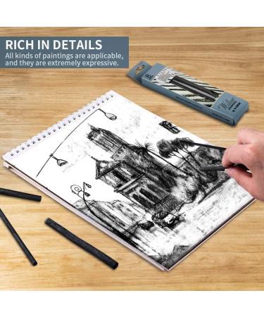 Vine Charcoal & Willow Charcoal Pencils Set for Artists Drawing - 48 PCS - Buy Online on GoSupps.com