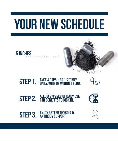 Dr. Westin Childs Hashimoto s Ab Rx | Organic Black Cumin Seed Nigella Sativa for Immune Thyroid Antibody Support Digestion TPO & Thyroglobulin Omega 6 7 8 Thymoquinone Selenium - 120 ct - Buy Online on GoSupps.com