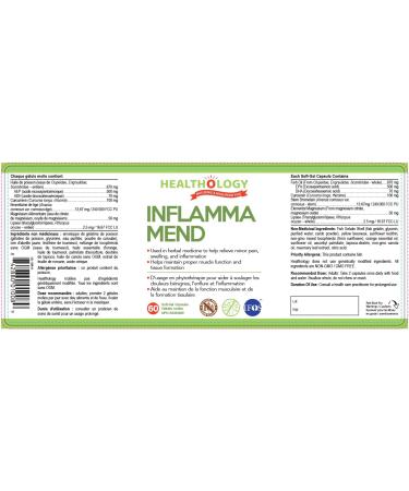 Healthology INFLAMMA-MEND | Inflammation Support | Anti-Inflammatory Supplement | Pain Relief | Reduce Swelling | 60 Soft-Gel Capsules | Fish Oil EPA DHA Curcumin Bromelain Magnesium Lipase - Buy Online on GoSupps.com