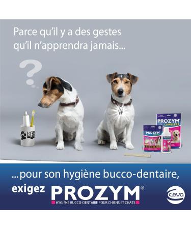 PROZYM - Pack of 2 Dental Solutions to dilute for Dogs and Cats - No. 1 among veterinarians - Fresh breath - Anti-tartar - Anti-Plaque - Healthy gums - Buy Online on GoSupps.com