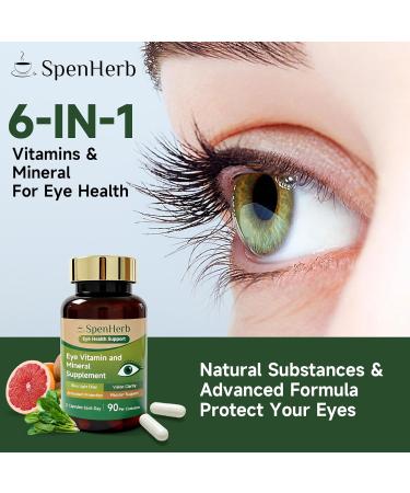 Eye Vitamin and Mineral Supplement Vision Support 90 Capsules with Lutein and Zeaxanthin Vitamin C E Zinc Copper Eye Health Supplements for Adults 2 PCS 90 Count (Pack of 2) - Buy Online on GoSupps.com