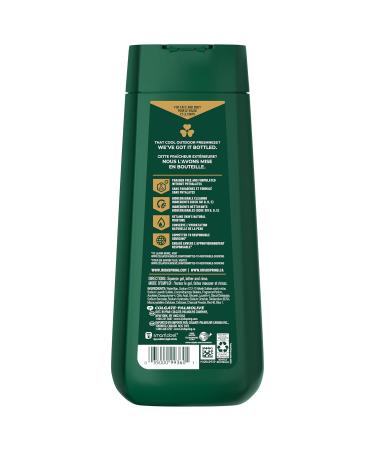 Irish Spring Men's Body Wash Shower Gel Charcoal Refresh 20 Fl Oz (Pack of 4) - Buy Online on GoSupps.com