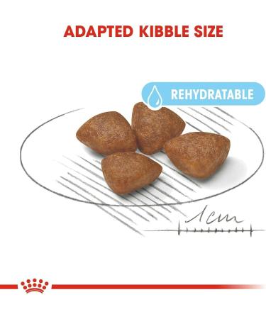 ROYAL CANIN SHN Mini Starter Mother & Babydog Dry Dog Food 4 kg - Buy Online on GoSupps.com