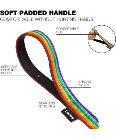 Loutep Rainbow Training Line for Dogs - Extra Long Leash 3m to 30m | Strong Nylon Rope with Padded Handle for All Dog Sizes | 25m Purple - Buy Online on GoSupps.com