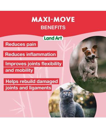Maxi-Move Joints Supplement for Pets for Cats and Dogs - Natural Formula with Collagen and Glucosamine with Anti-Inflammatory Extracts Natural Beef Flavor - 240ml Made in Canada - Buy Online on GoSupps.com