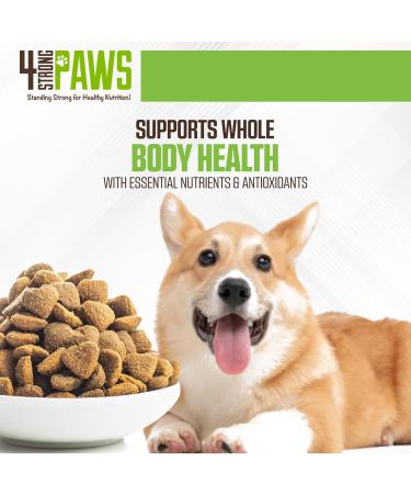 4 STRONG PAWS Chicken and Salmon Dry Puppy Food - 28 Pound High Protein Puppy Food - Grain Inclusive Dog Food for Healthy Dog Bones Chicken and Salmon Grain Inclusive 12.7 kg (Pack of 1) - Buy Online on GoSupps.com