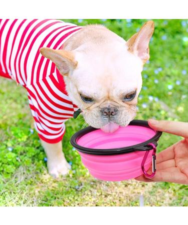 Slson Foldable Pet Bowl - Portable Travel Bowl for Dogs & Cats (350ml) with Carabiner Water & Food Bowls in Orange & Pink - Buy Online on GoSupps.com