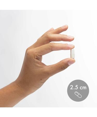 Dr. Mercola Magnesium Advanced - 2 000 mg Magtein Magnesium L-Threonate - Supports Brain & Cellular Function - Superior Absorption - Non-GMO Gluten-Free & Soy-Free - 90 Capsules (2 Pack 60 Servings) - Buy Online on GoSupps.com