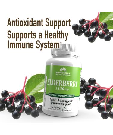 Windmill Natural Vitamins Elderberry Capsules Supports Immune System Potent Antioxidants 1 150 mg of Elderberry 60 Capsules 30 Servings - Buy Online on GoSupps.com