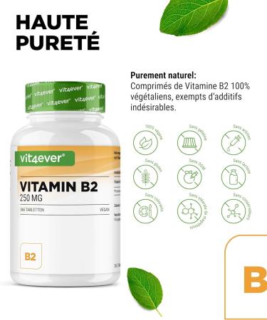 Vitamin B2 (Riboflavin) - 250 mg - 365 tablets - High dose - No unwanted additives - Vegan - Buy Online on GoSupps.com
